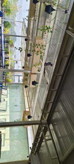 Furnished Office Space For Rent In Whitefield, Bangalore
